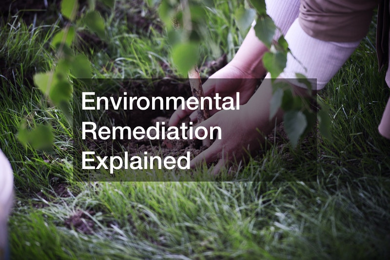 Environmental Remediation Explained Asia Travel Blog