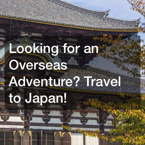 Looking for an Overseas Adventure? Travel to Japan!