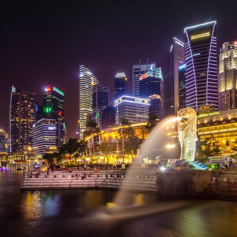 5 Reasons to Visit Singapore: A Guide for Tourists