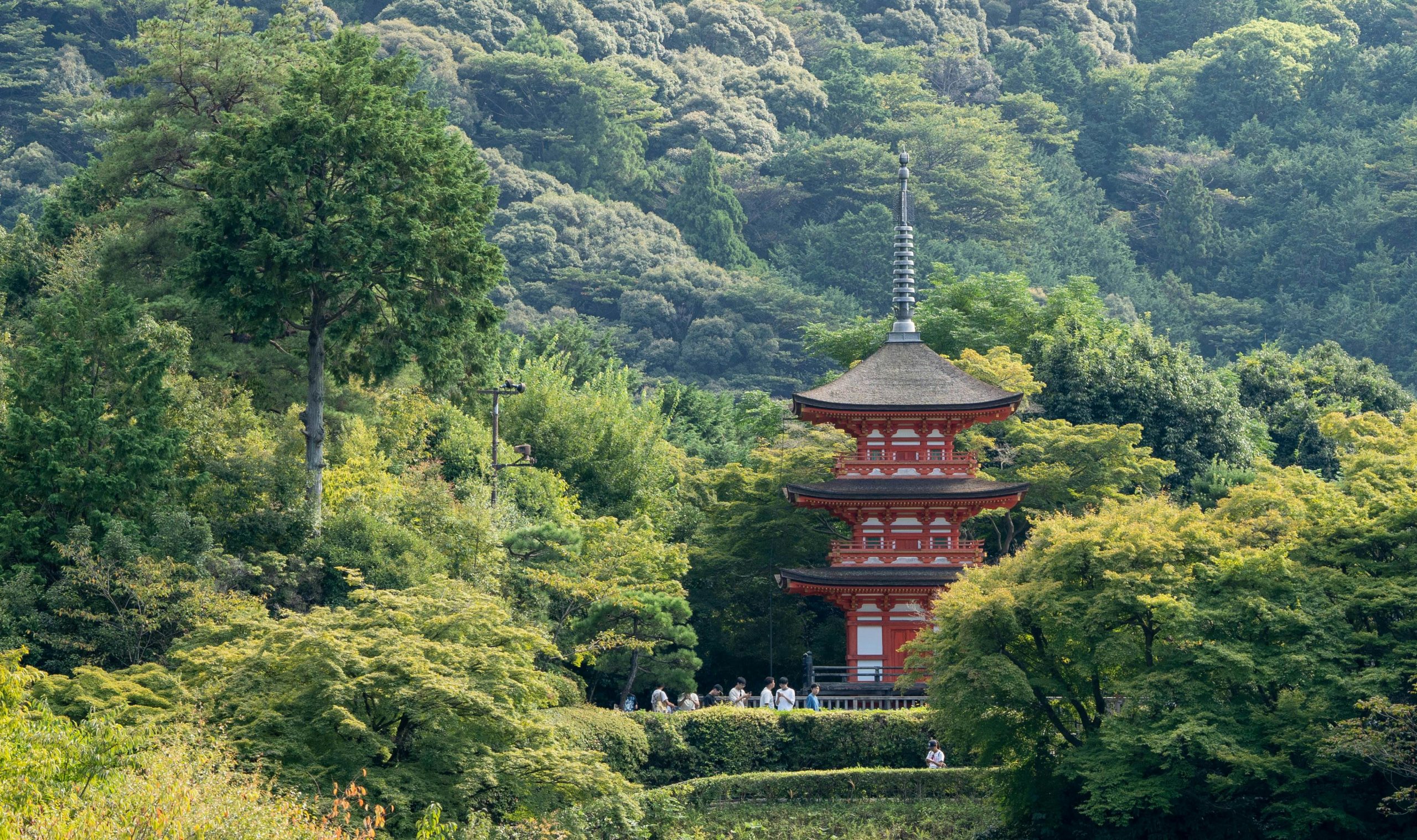 temple in koya-san